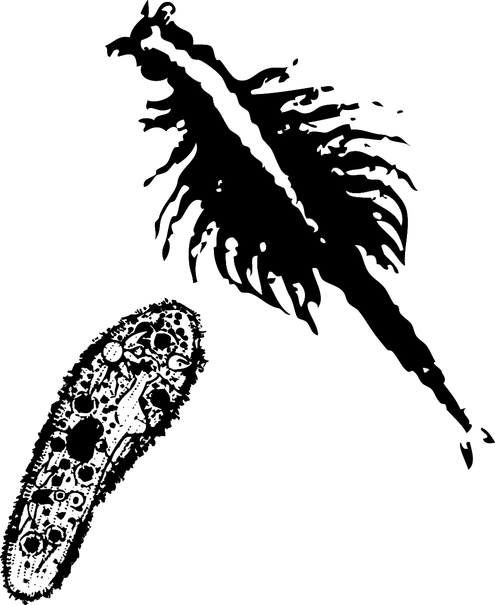 Биодиагностика и экологическая оценка