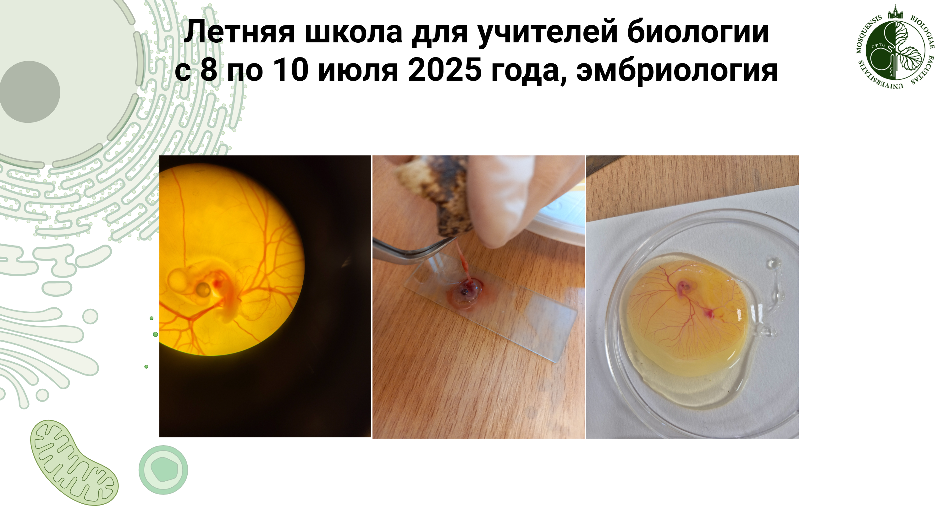 io