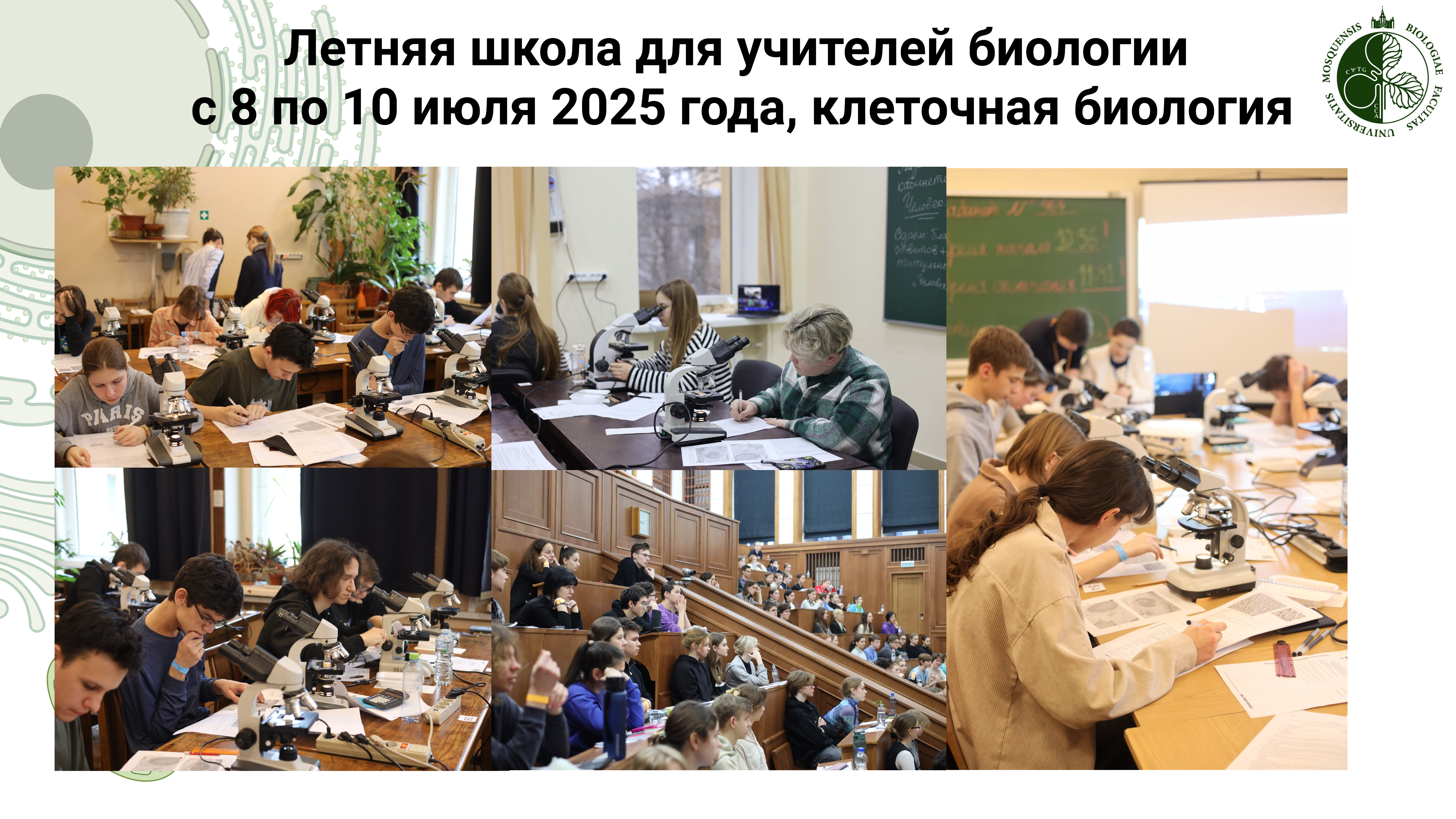 ыав