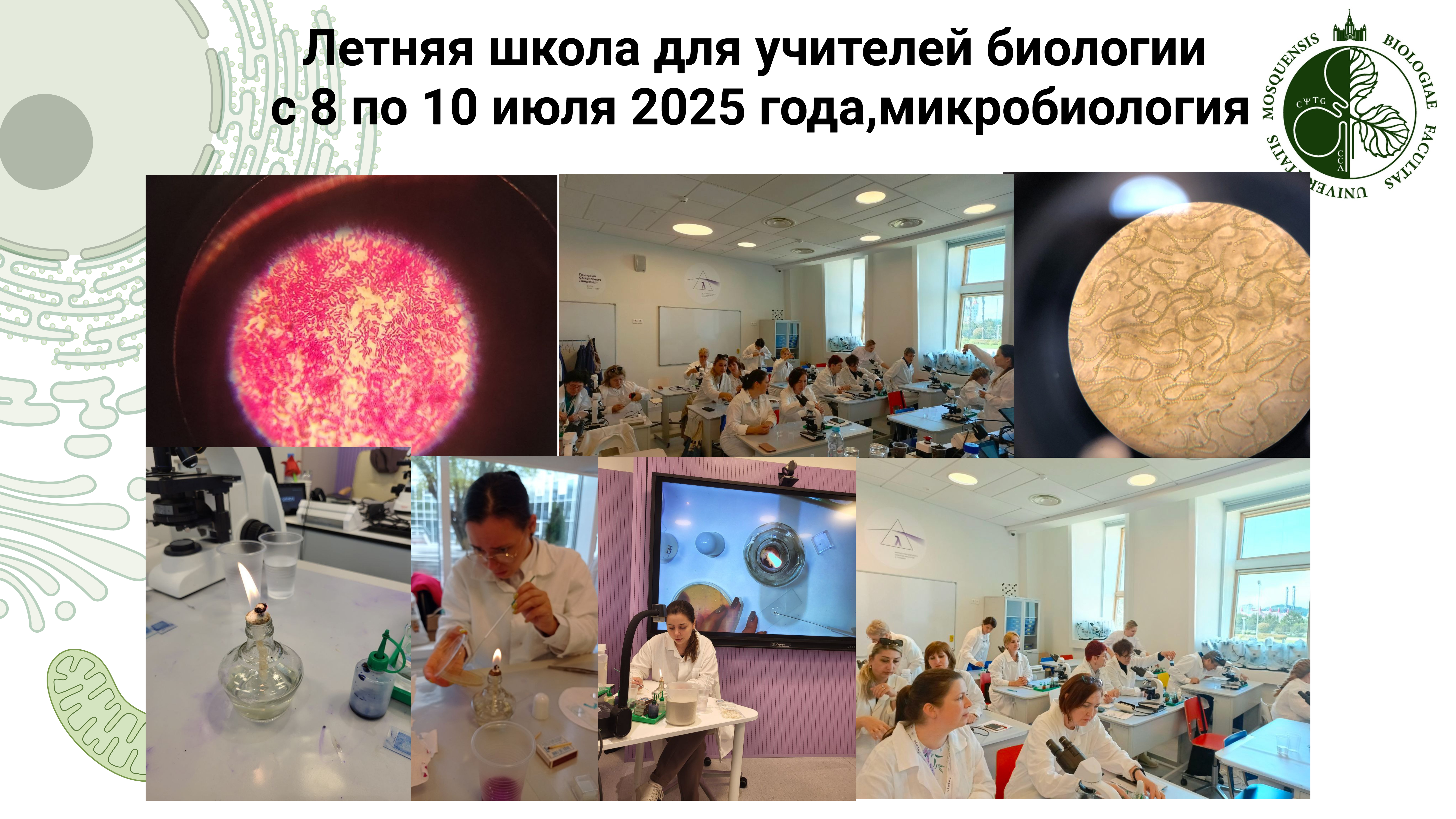 микра